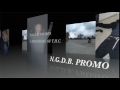 N.G.D.B. Skate Video