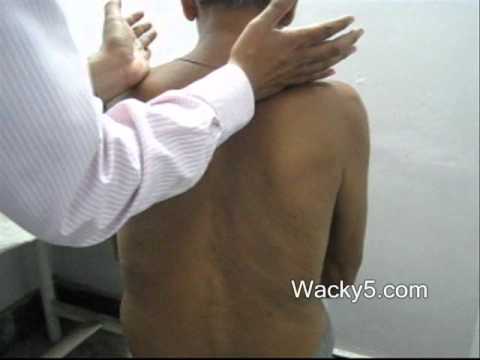 how to perform tactile fremitus