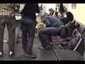 Brussels Griffon video