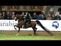 2009 U.S. National Arabian & Half-Arabian Championship: HA / AA English Pleasure, Friday Night