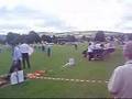 Tallaght Festival Band