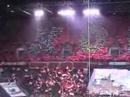 Wilde Horde Wilde Horde