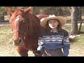 Leah Anderson HOW TO...Halter a Horse