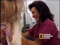 Mummy Pets