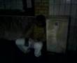 DB fight
