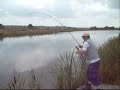 Celtic Lakes Resort, Carp and Catfish.