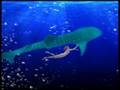 videos de Martin Roth & Alex Bartlett - Losing Gravity