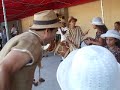 Sem Pantim Maracatu Santos SP Recife