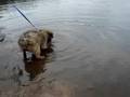 First time in water!