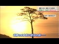 【震災】奇跡の一本松で初日の出 岩手・陸前高田(12/01/01) 奇跡の一本松
