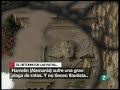 Plaga de ratas en... Hamelin