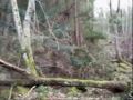 Symbiosis - \"Still Alone in the Path of Life\"