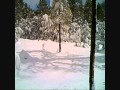 BIGFOOT RESEARCH 24 MARCH 2012.wmv