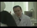 上戸彩動画