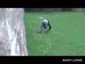 Demovideo - Andy Long