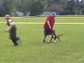 WABA BST Protection \"Gigi\"