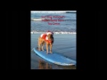 Ricochet's Surfin' Santa Paws Toy Drive.wmv