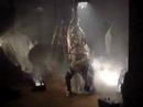 Behind the Scenes of Orion\