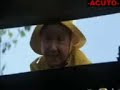 IT
