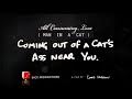 All Consuming Love (Man In a Cat) Trailer