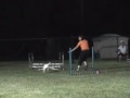 Dave's First Agility Run