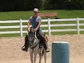 Real Zebra ride