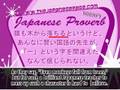Japanese Proverb Saru mo Ki Kara Ochiru Even Monkeys...