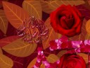 Naat: AlNabhi Sallu Aliah (Alnabi Sallu Aleh)  Recited by: Saba Chaudhry