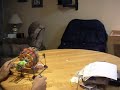 Knex Gatling Gun