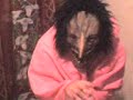 monstruo jorobado.3gp