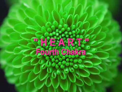 The Chakras 4. Heart - Kristopher Stone