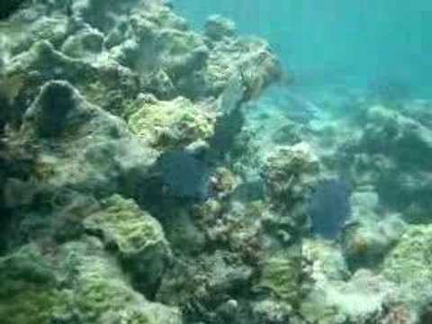 more Antigua and Barbuda Adventures