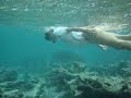 more Antigua and Barbuda Adventures