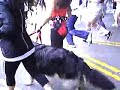 Corrida-Caminata de Revlon Contra Cancer, Los Angeles 2008