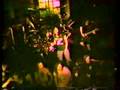   Soilent Green-Mad Scientist  (1989 w/ Glenn Rambo on vocals)