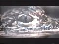 Ride - Vapour Trail live Brixton 1992 Ride - Vapour Trail live Brixton 1992