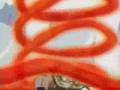 naruto clip (music basshunter botten anna)