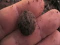 metal detecting Saving History: Episode 19 -DIV 8 (Part One)
