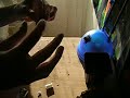 PORRO CON ALEDINHA PORRO CON ALEDINHA