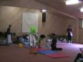 videos de Tims Circus