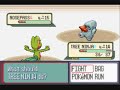 Pokemon Sapphire Walkthrough Part 7: Gym Leader Roxanne