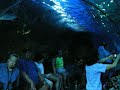 Maui Ocean Centre