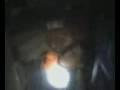 videos de dakota hog ties jesus 3