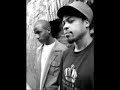 Zion I - Inner light (remix)