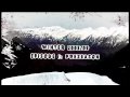 Video ansehen