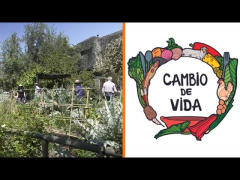 Cambio de Vida – Huertas Comunitarias