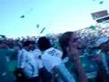 Torcida do Palmeiras comemorando a queda dos gambás!!!
