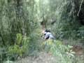 videos de Tombo do Rafael