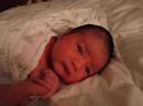 Reese Wallace Dilley, 11 days