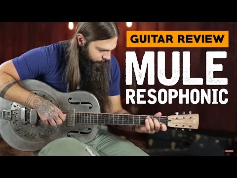Mule Resophonic ★ Guitar Review by Acoustic Life